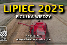 Photo of LIPIEC 2025 – PIGUŁKA WIEDZY