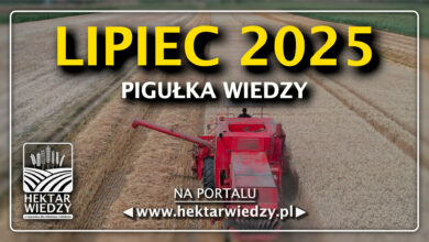 Photo of LIPIEC 2025 – PIGUŁKA WIEDZY