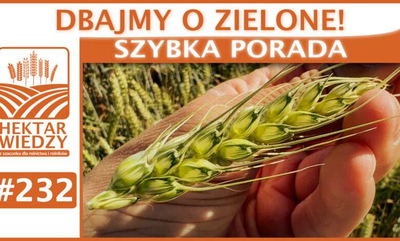 SZYBKA_PORADA_OKLADKA_232