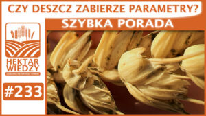 SZYBKA_PORADA_OKLADKA_233