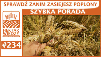 Photo of SPRAWDŹ ZANIM ZASIEJESZ POPLONY! | SZYBKA PORADA #234