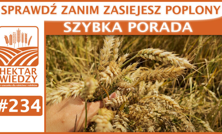 SZYBKA_PORADA_OKLADKA_#234