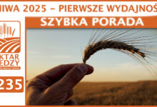 Photo of ŻNIWA 2025 – PIERWSZE WYDAJNOŚCI! | SZYBKA PORADA #235