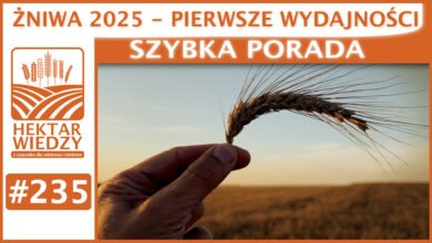 Photo of ŻNIWA 2025 – PIERWSZE WYDAJNOŚCI! | SZYBKA PORADA #235