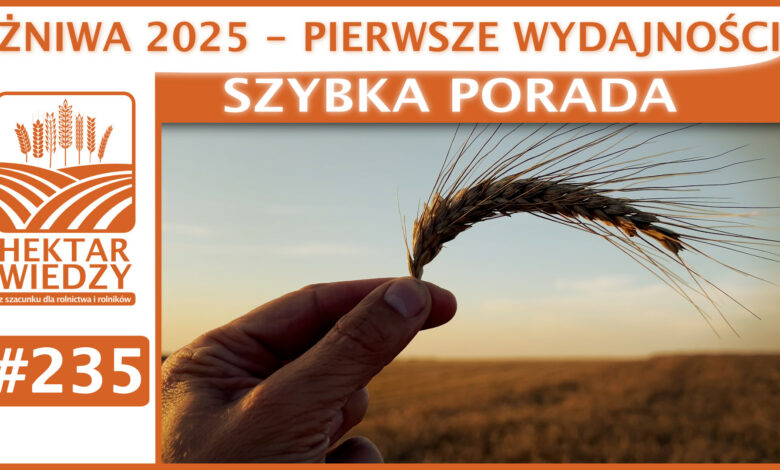 SZYBKA_PORADA_OKLADKA_235