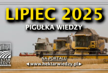 Photo of LIPIEC 2025 – PIGUŁKA WIEDZY