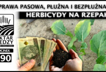 Photo of UPRAWA PASOWA, PŁUŻNA I BEZPŁUŻNA – HERBICYDY NA RZEPAK | ODCINEK 290