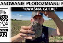 Photo of PLANOWANIE PŁODOZMIANU NA „KWAŚNĄ GLEBĘ”. | ODCINEK 292