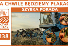 Photo of ZA CHWILĘ BĘDZIEMY PŁAKAĆ | SZYBKA PORADA #238
