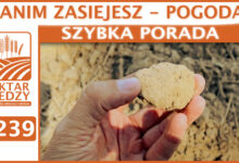 Photo of ZANIM ZASIEJESZ – POGODA. | SZYBKA PORADA #239