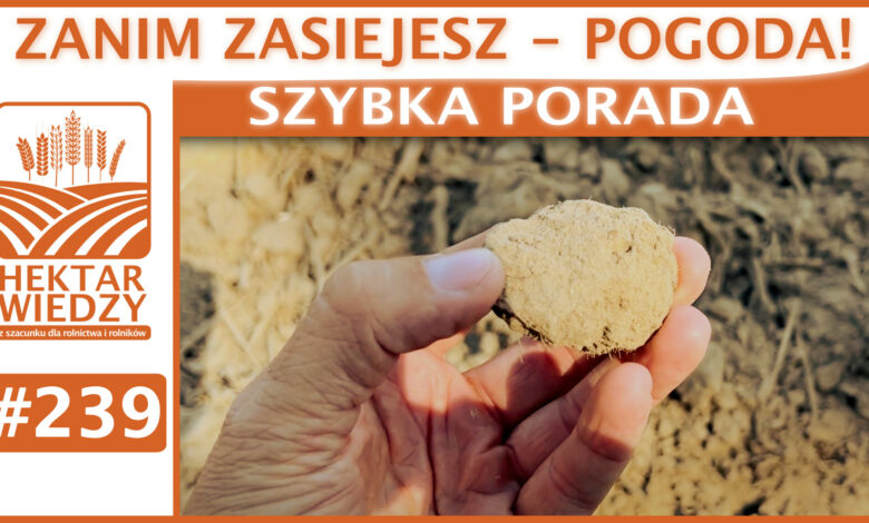 SZYBKA_PORADA_OKLADKA_239