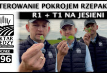 Photo of STEROWANIE POKROJEM RZEPAKU. R1 + T1 NA JESIENI. | ODCINEK 296