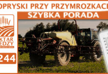 Photo of OPRYSKI PRZY PRZYMROZKACH. | SZYBKA PORADA #244