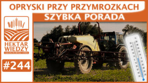 SZYBKA_PORADA_OKLADKA_244
