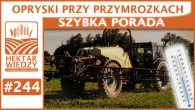Photo of OPRYSKI PRZY PRZYMROZKACH. | SZYBKA PORADA #244