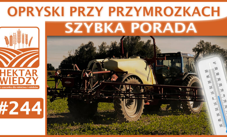 SZYBKA_PORADA_OKLADKA_244