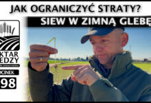 Photo of SIEW ZBOŻA W ZIMNĄ GLEBĘ. JAK OGRANICZYĆ STRATY? | ODCINEK 298