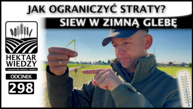 Photo of SIEW ZBOŻA W ZIMNĄ GLEBĘ. JAK OGRANICZYĆ STRATY? | ODCINEK 298