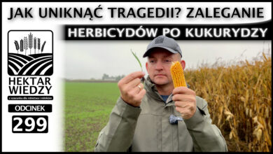 Photo of ZALEGANIE HERBICYDÓW PO KUKURYDZY. JAK UNIKNĄĆ TRAGEDII? | ODCINEK 299