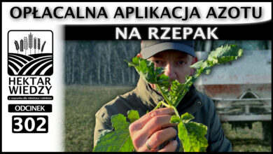 Photo of OPŁACALNA APLIKACJA AZOTU NA RZEPAK. | ODCINEK 302