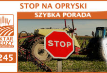 Photo of STOP NA OPRYSKI. | SZYBKA PORADA #245