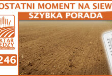 Photo of OSTATNI MOMENT NA SIEW. | SZYBKA PORADA #246