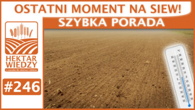 Photo of OSTATNI MOMENT NA SIEW. | SZYBKA PORADA #246