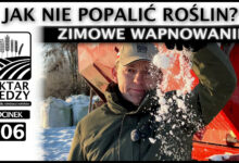 Photo of JAK NIE POPALIĆ ROŚLIN? ZIMOWE WAPNOWANIE. | ODCINEK 306