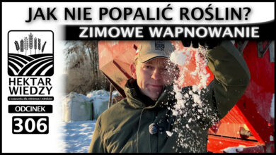 Photo of JAK NIE POPALIĆ ROŚLIN? ZIMOWE WAPNOWANIE. | ODCINEK 306