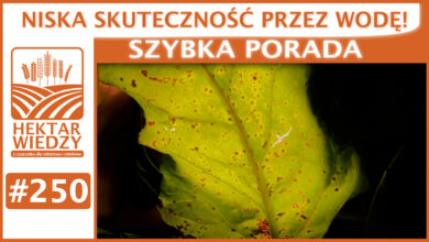 Photo of NISKA SKUTECZNOŚĆ PRZEZ WODĘ. | SZYBKA PORADA #250