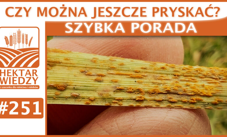 SZYBKA_PORADA_OKLADKA_251