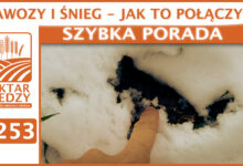 Photo of NAWOZY I ŚNIEG – JAK TO POŁĄCZYĆ? | SZYBKA PORADA #253
