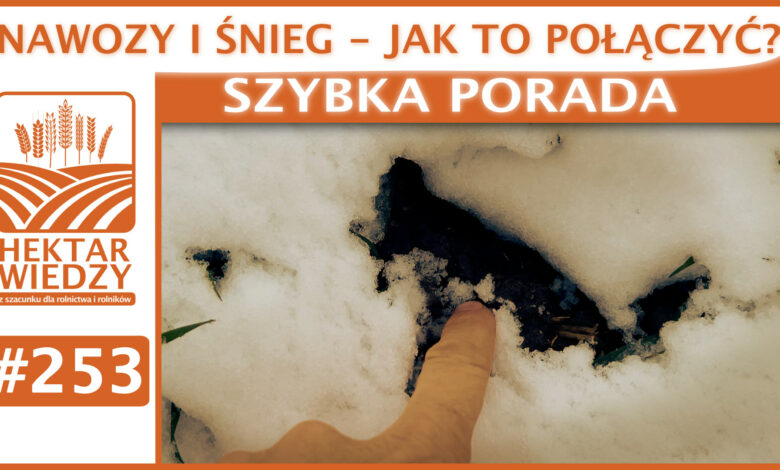 SZYBKA_PORADA_OKLADKA_253