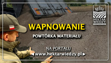 Photo of WAPNOWANIE – POWTÓRKA MATERIAŁU