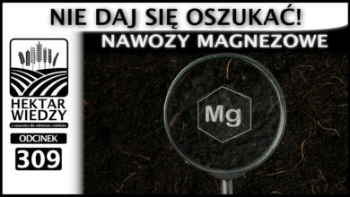 Photo of NIE DAJ SIĘ OSZUKAĆ! NAWOZY MAGNEZOWE. | ODCINEK 309