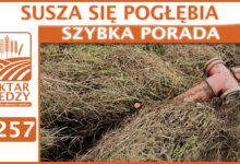 Photo of SUSZA SIĘ POGŁĘBIA. | SZYBKA PORADA #257