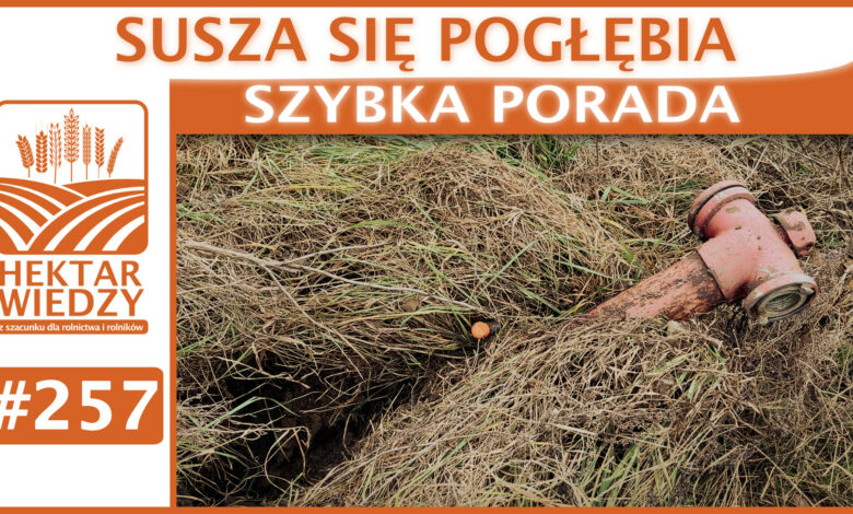 SZYBKA_PORADA_OKLADKA_257