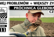 Photo of MNIEJ PROBLEMÓW + WIĘKSZY ZYSK – PRÓCHNICA GLEBOWA. (Część 1.) | ODCINEK 311
