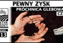 Photo of PEWNY ZYSK – PRÓCHNICA GLEBOWA. (Część 2.) | ODCINEK 313