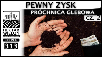 Photo of PEWNY ZYSK – PRÓCHNICA GLEBOWA. (Część 2.) | ODCINEK 313
