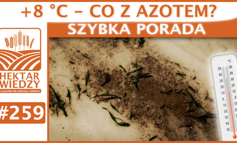 SZYBKA_PORADA_OKLADKA_259