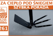 Photo of ZA CIEPŁO POD ŚNIEGIEM. | SZYBKA PORADA #261