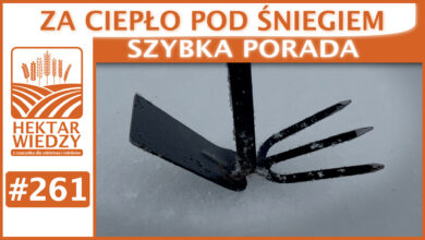Photo of ZA CIEPŁO POD ŚNIEGIEM. | SZYBKA PORADA #261