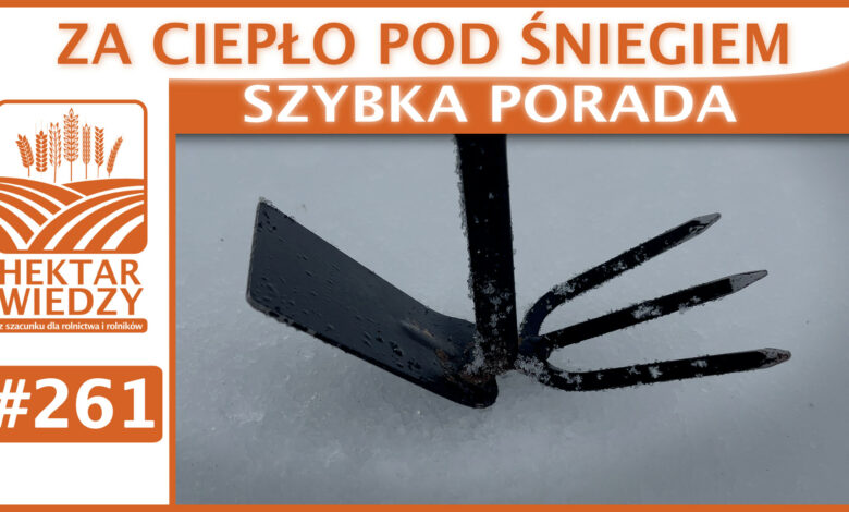 ZYBKA_PORADA_OKLADKA_261