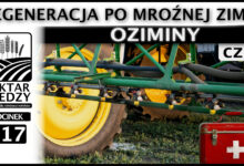 Photo of REGENERACJA PO MROŹNEJ ZIMIE – OZIMINY. (Część 2.) | ODCINEK 317