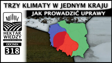Photo of TRZY KLIMATY W JEDNYM KRAJU. JAK PROWADZIĆ UPRAWY?  | ODCINEK 318