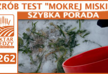 Photo of ZRÓB TEST „MOKREJ MISKI”. | SZYBKA PORADA #262