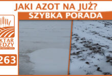 Photo of JAKI AZOT NA JUŻ? | SZYBKA PORADA #263