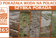 Photo of CO POKAZAŁA WODA NA POLACH? | SZYBKA PORADA #265