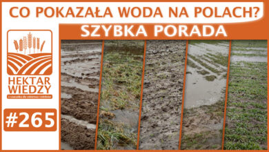 Photo of CO POKAZAŁA WODA NA POLACH? | SZYBKA PORADA #265